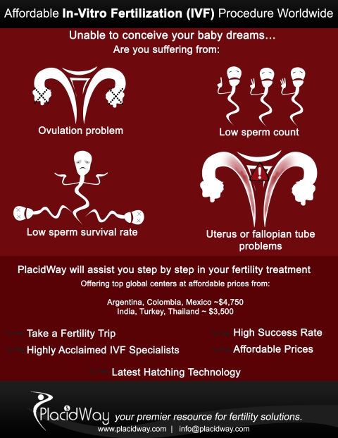 Fertility Treatment Abroad